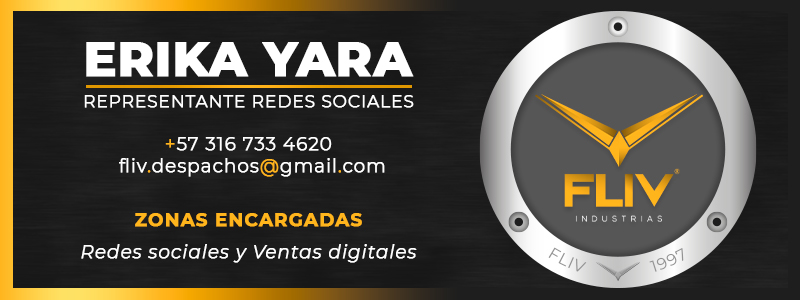 Asesora zona sur